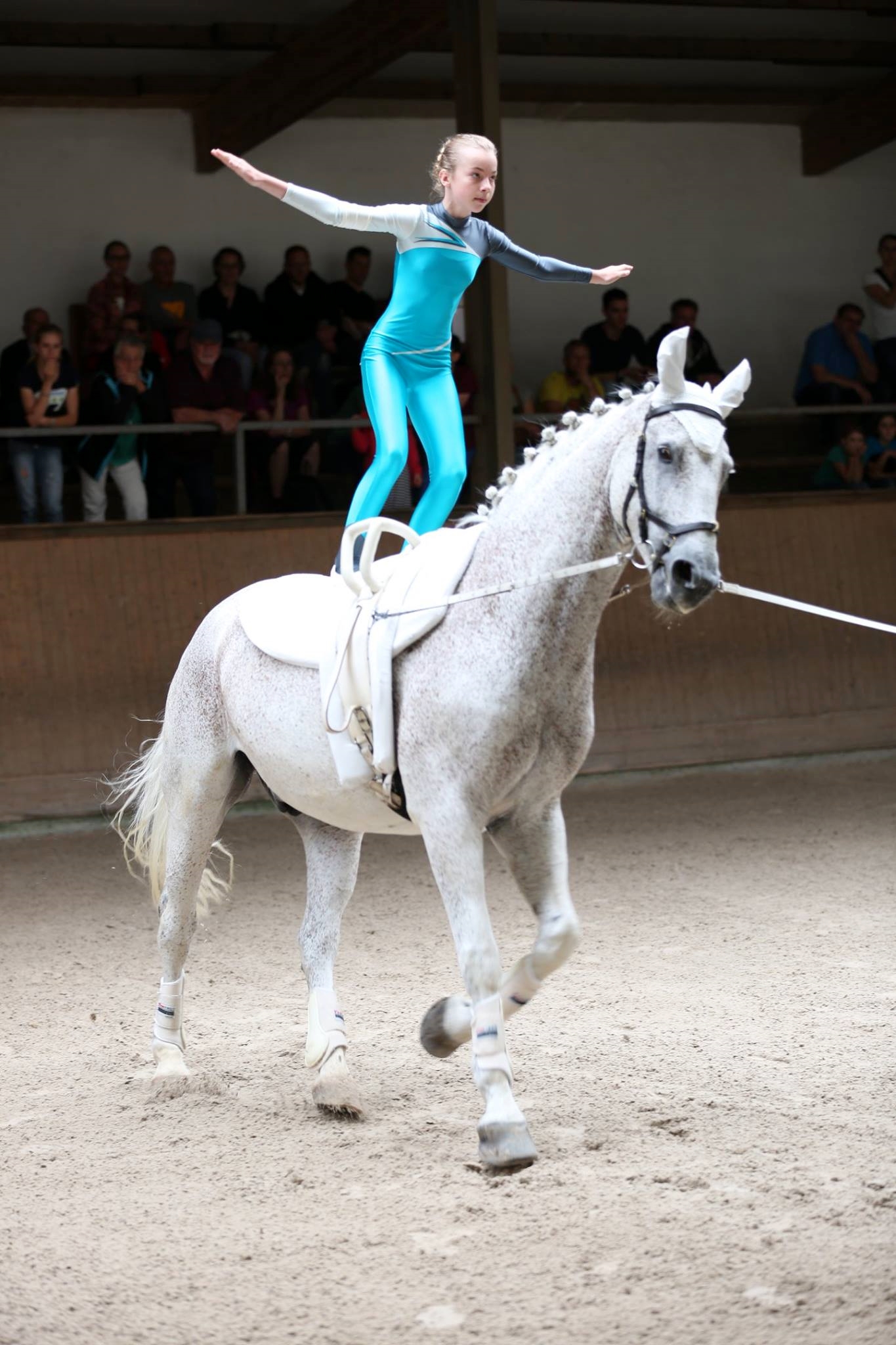 Voltigierturnier Pliezhausen - Reiterverein Bietigheim-Bissingen